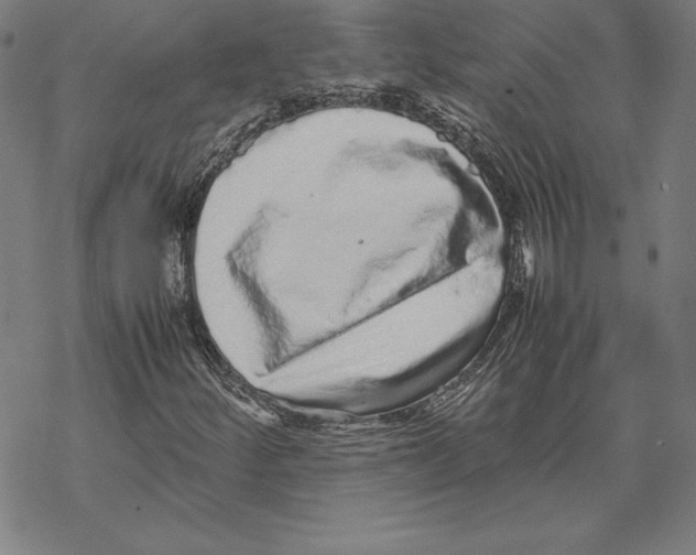 X0000067851252200605111659