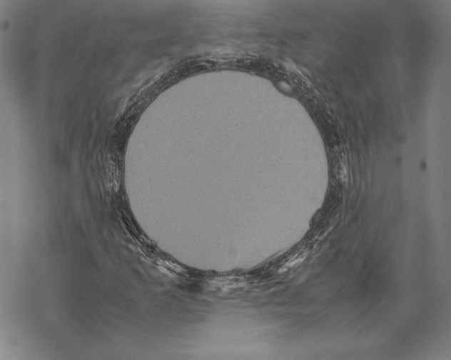 X0000067851253200605111659