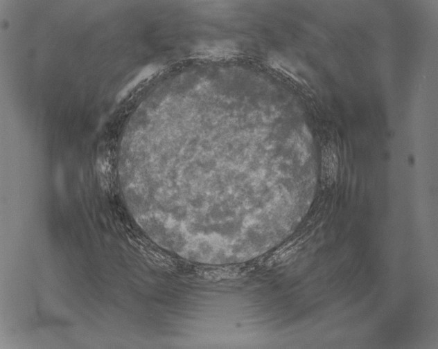 X0000067851254200605111659