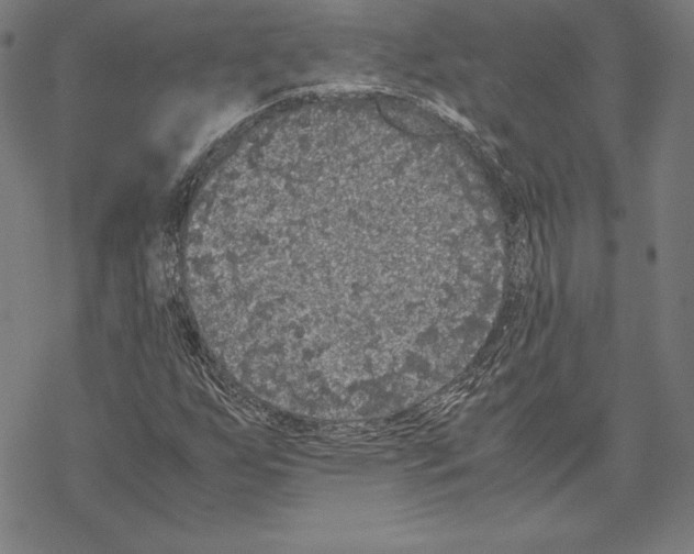 X0000067851255200605111659