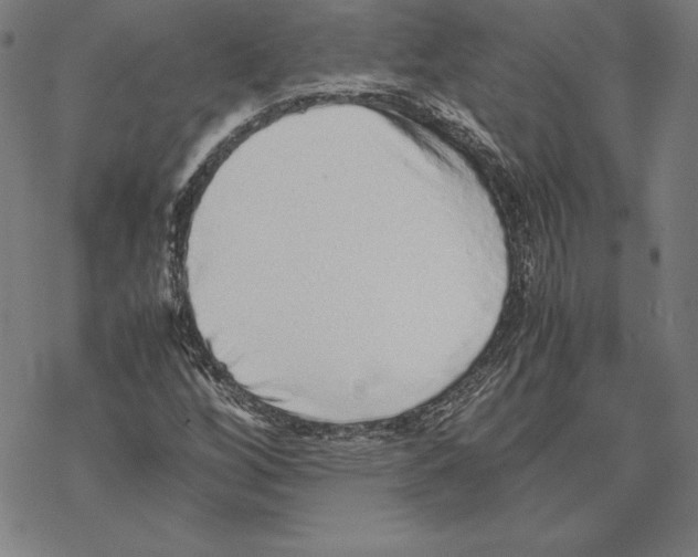 X0000067851256200605111659