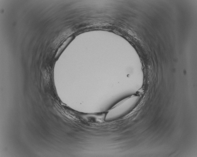 X0000067851257200605111659