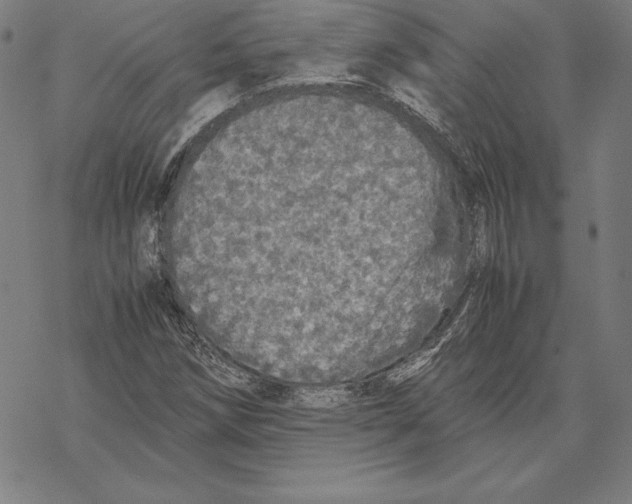 X0000067851258200605111659