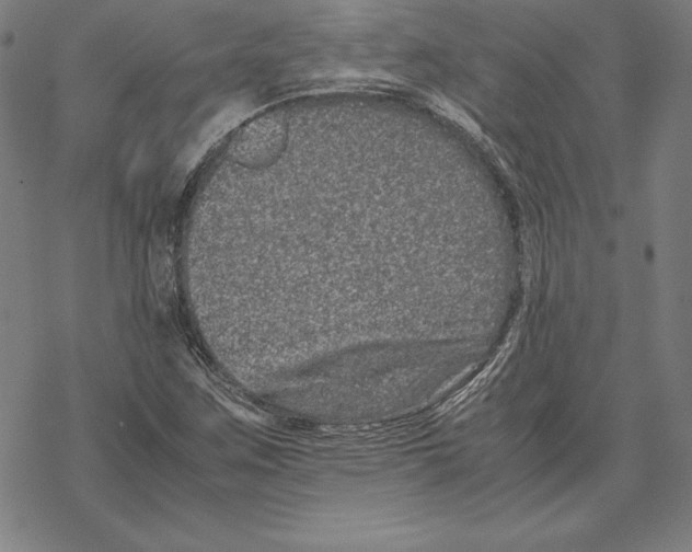 X0000067851259200605111659