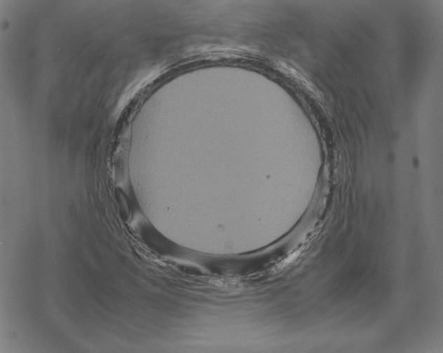 X0000067851261200605111659