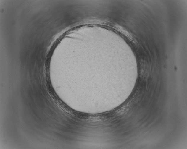 X0000067851264200605111659