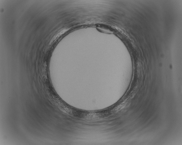 X0000067851265200605111659