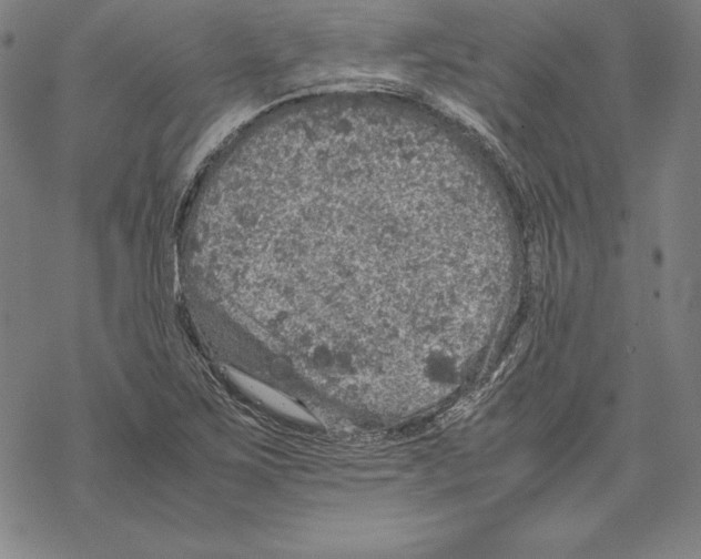 X0000067851267200605111659