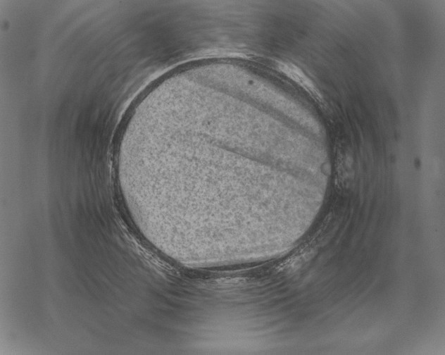 X0000067851268200605111659