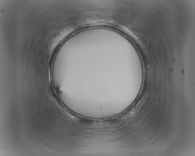 X0000067851269200605111659