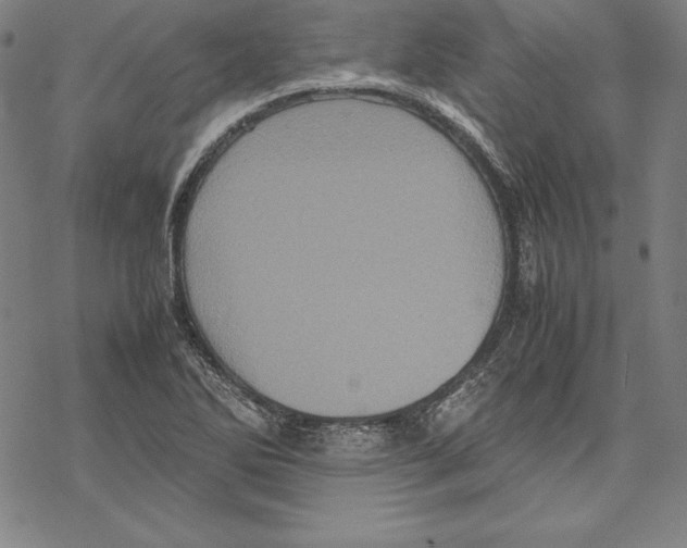 X0000067851270200605111659