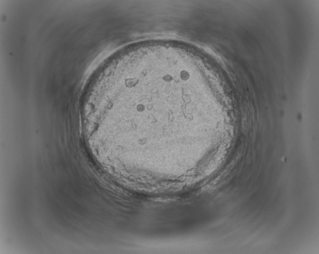 X0000067851271200605111659