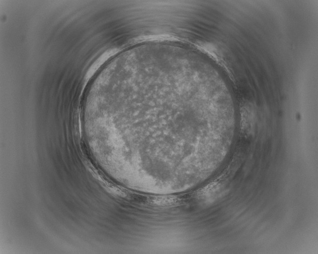 X0000067851274200605111659