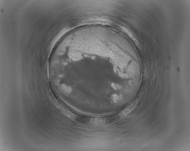 X0000067851275200605111659