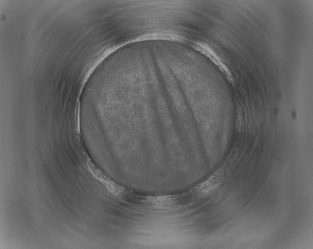 X0000067851276200605111659