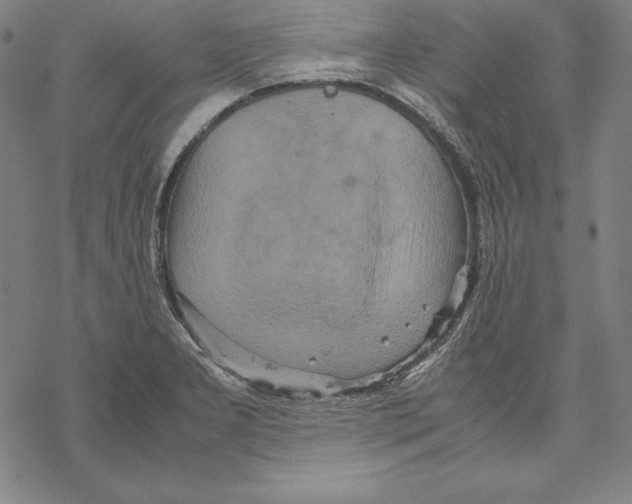 X0000067851277200605111659