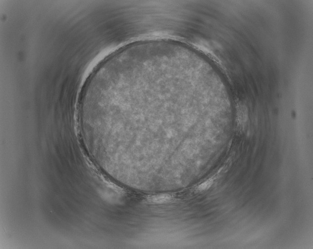 X0000067851278200605111659