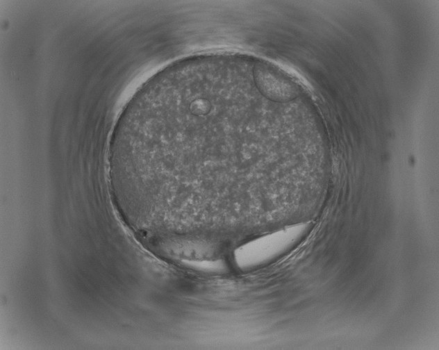 X0000067851279200605111659