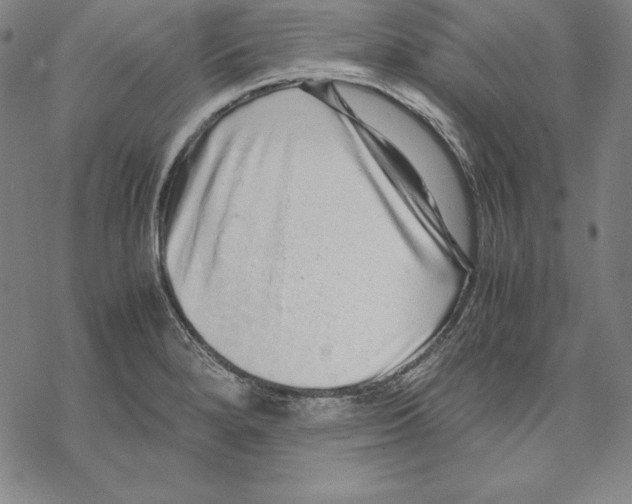 X0000067851280200605111659