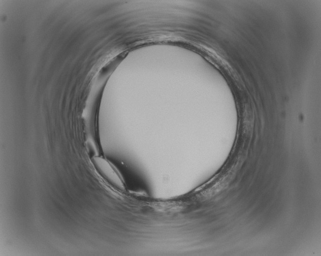 X0000067851281200605111659