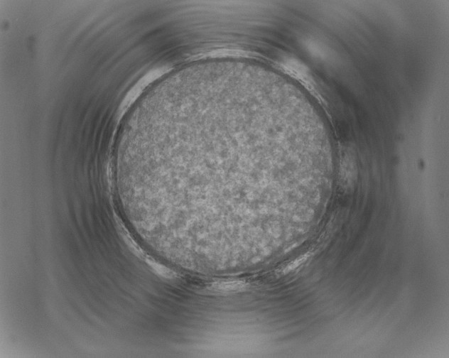 X0000067851282200605111659