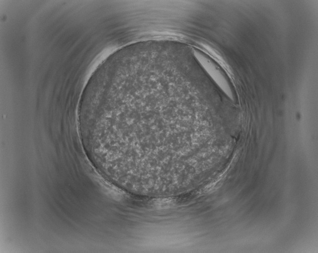 X0000067851283200605111659