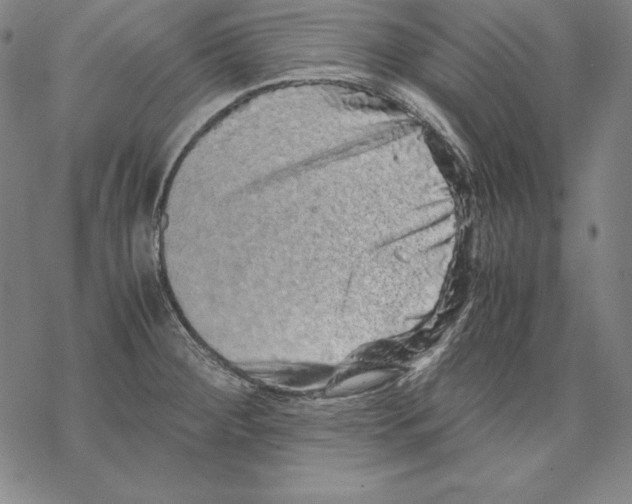 X0000067851284200605111659