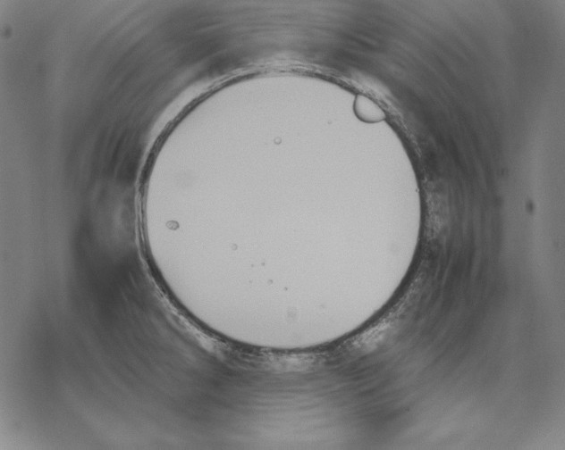 X0000067851286200605111659