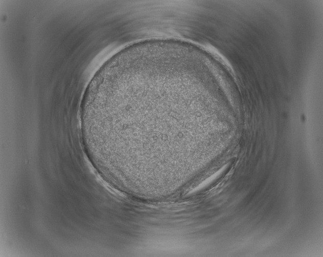 X0000067851287200605111659