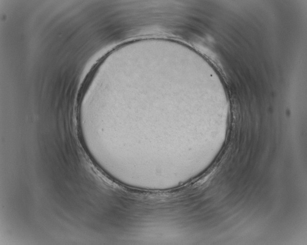 X0000067851288200605111659