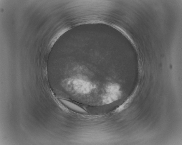 X0000067851289200605111659