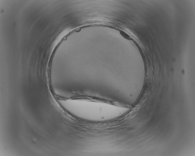 X0000067851291200605111659