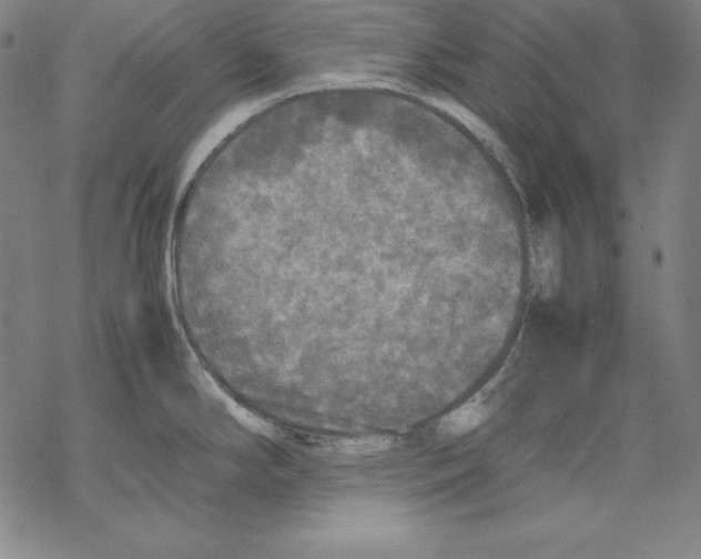 X0000067851294200605111658