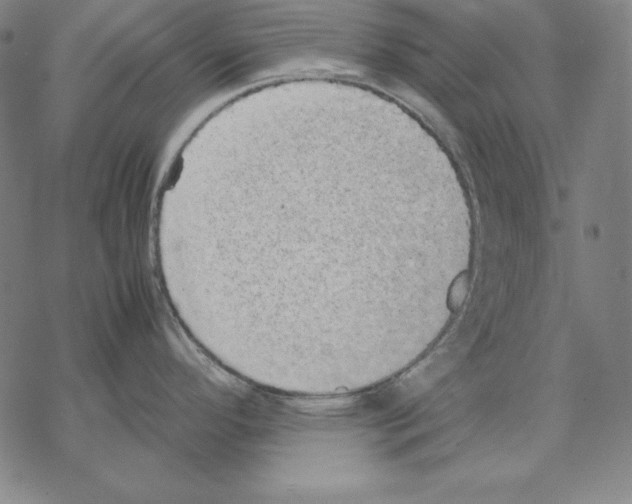 X0000067851296200605111658