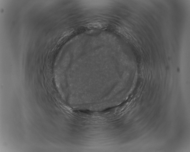 X0000067851297200605111658