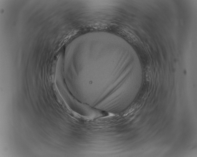 X0000067851298200605111658