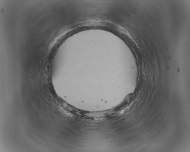 X0000067851304200605111658