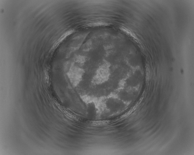 X0000067851305200605111658