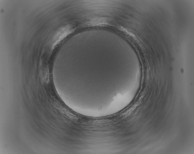 X0000067851306200605111658