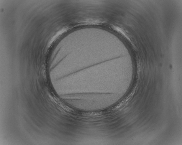 X0000067851307200605111658