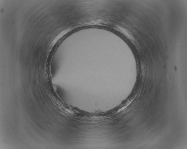 X0000067851308200605111658