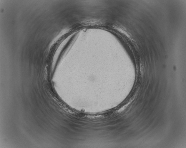 X0000067851309200605111658