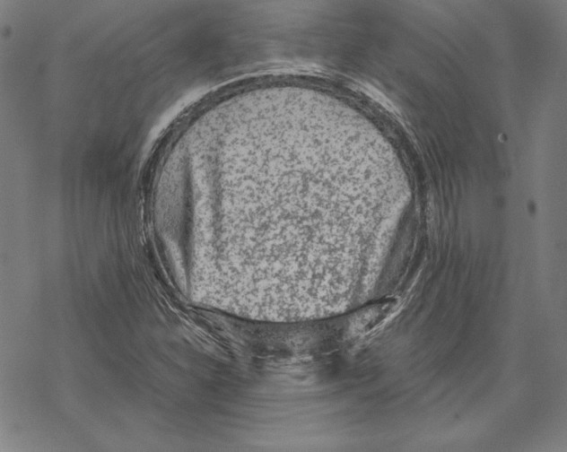 X0000067851310200605111658