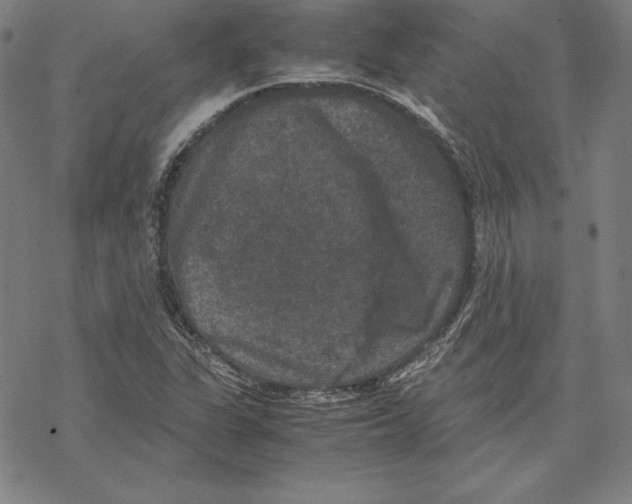 X0000067851311200605111658