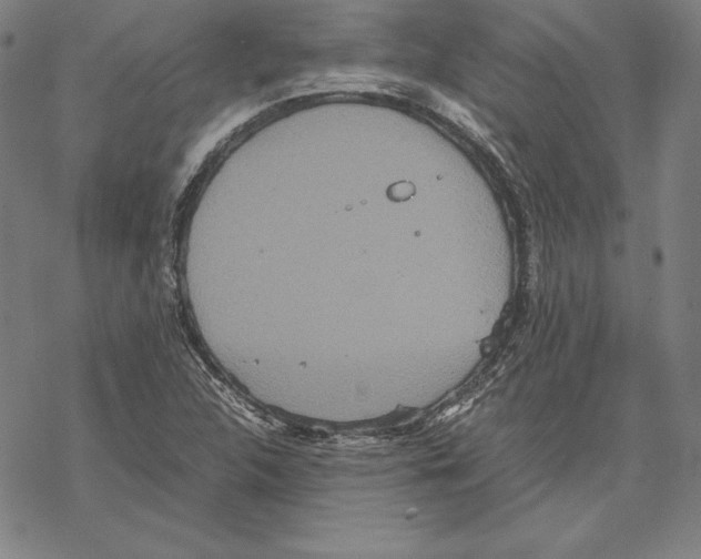 X0000067851312200605111658