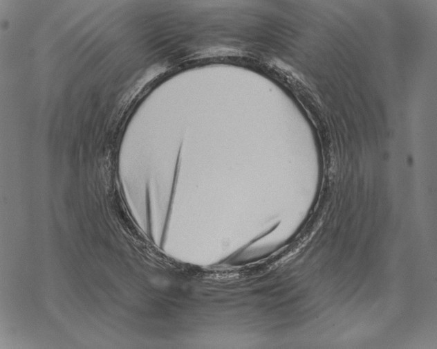 X0000067851313200605111658