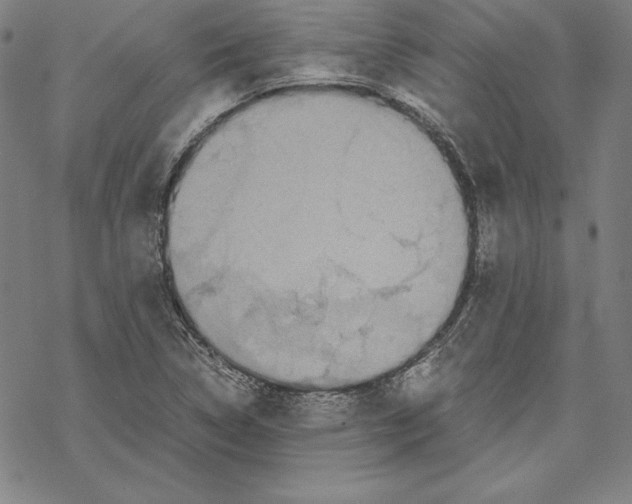 X0000067851314200605111658