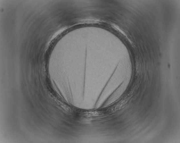 X0000067851315200605111658