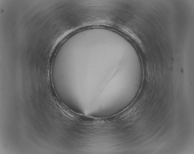 X0000067851316200605111658