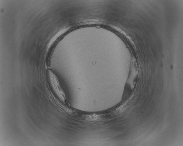 X0000067851317200605111658